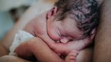 Ein frisch geborenes Babyliegt zusammengerollt auf der Brust der Mutter