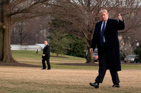 Alles tipptop bei Donald Trump