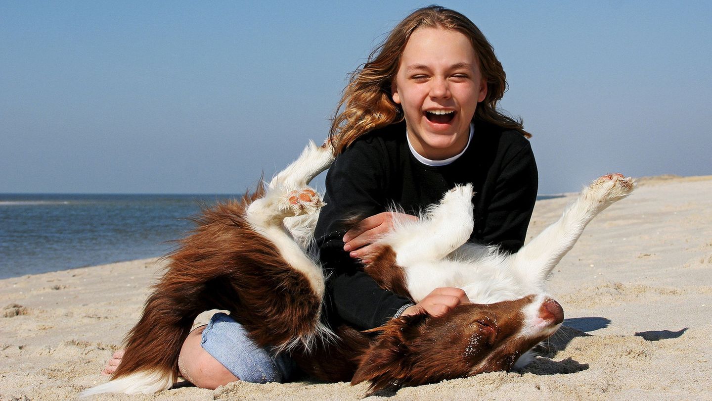Ein Mädchen lacht und spielt mit einem Hund am Strand Ein Mädchen lacht und spielt mit einem Hund am Strand