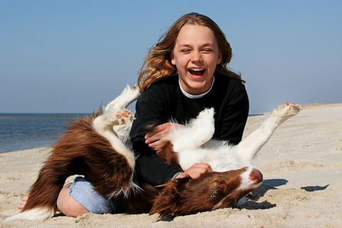 Ein Mädchen lacht und spielt mit einem Hund am Strand