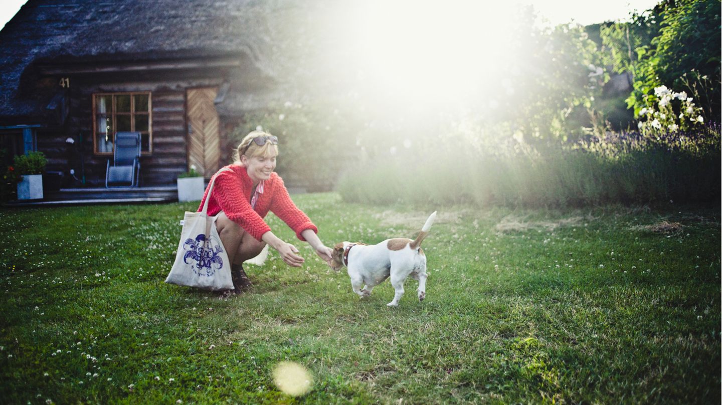 Richtig rufen: Hundekommandos, die wirklich ankommen