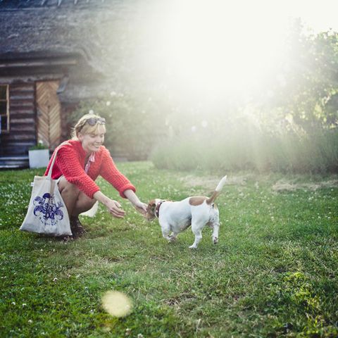 Richtig rufen: Hundekommandos, die wirklich ankommen