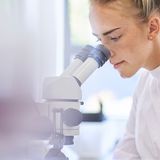 Chemie- und Erdölverarbeitende Industrie