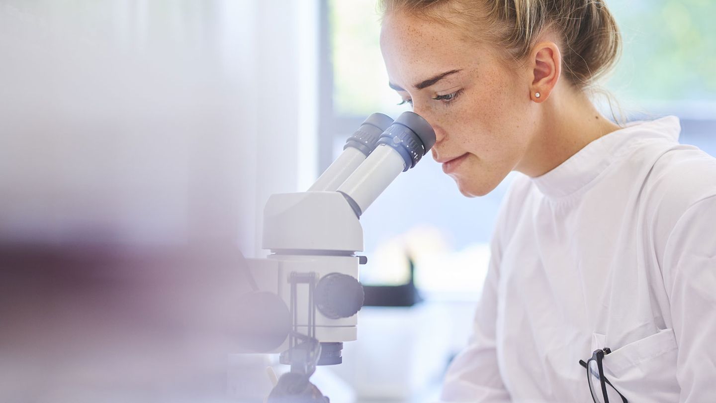 Chemie- und Erdölverarbeitende Industrie