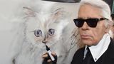 Völlig allein lebte der Designer aber nicht: Seit 2011 begleitete ihn Hauskatze Choupette. Die Birma-Katze war sogar das Leittier eigener Kollektionen Lagerfelds.