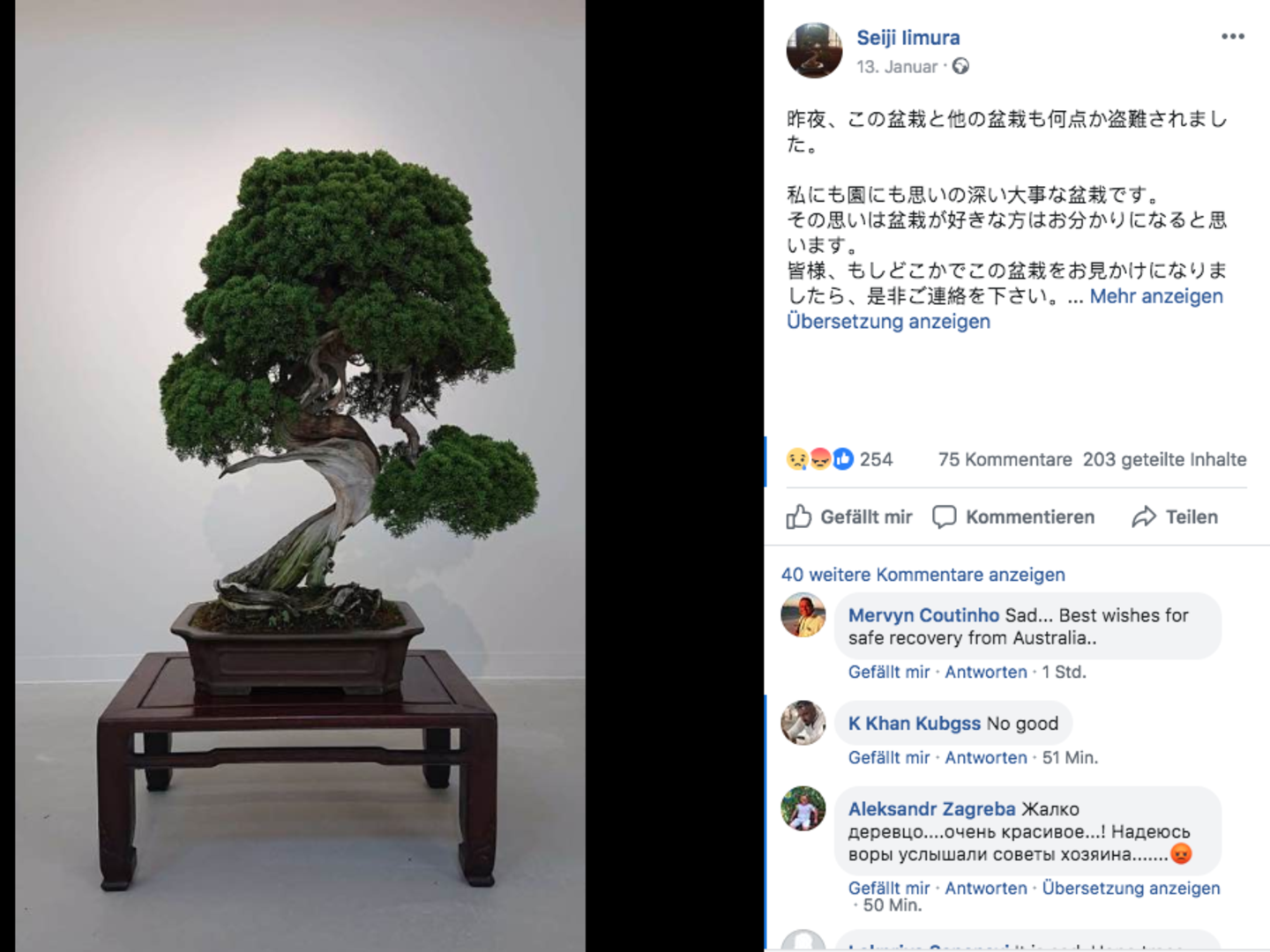 400 Jahre alter Bonsai-Baum gestohlen – emotionale Botschaft der