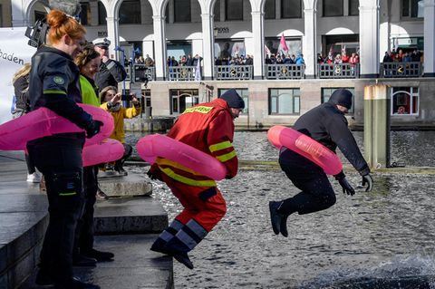 Warnstreik Hamburg: Sprung in die Alster