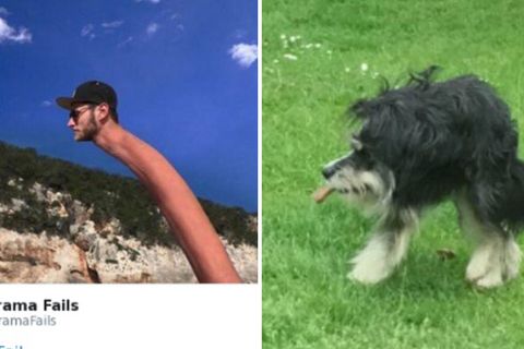 Panorama-Fails: "Schon mal zweiköpfig gefühlt?": Witzige Panorama-Fotos begeistern Internet-User