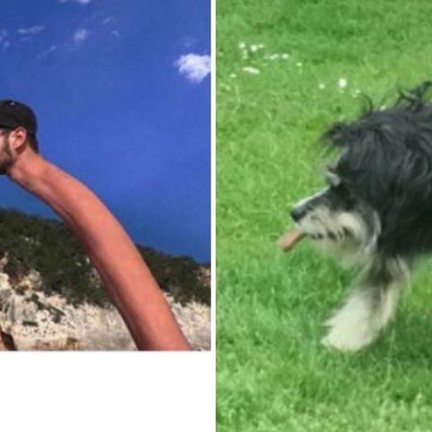 Panorama-Fails: "Schon mal zweiköpfig gefühlt?": Witzige Panorama-Fotos begeistern Internet-User
