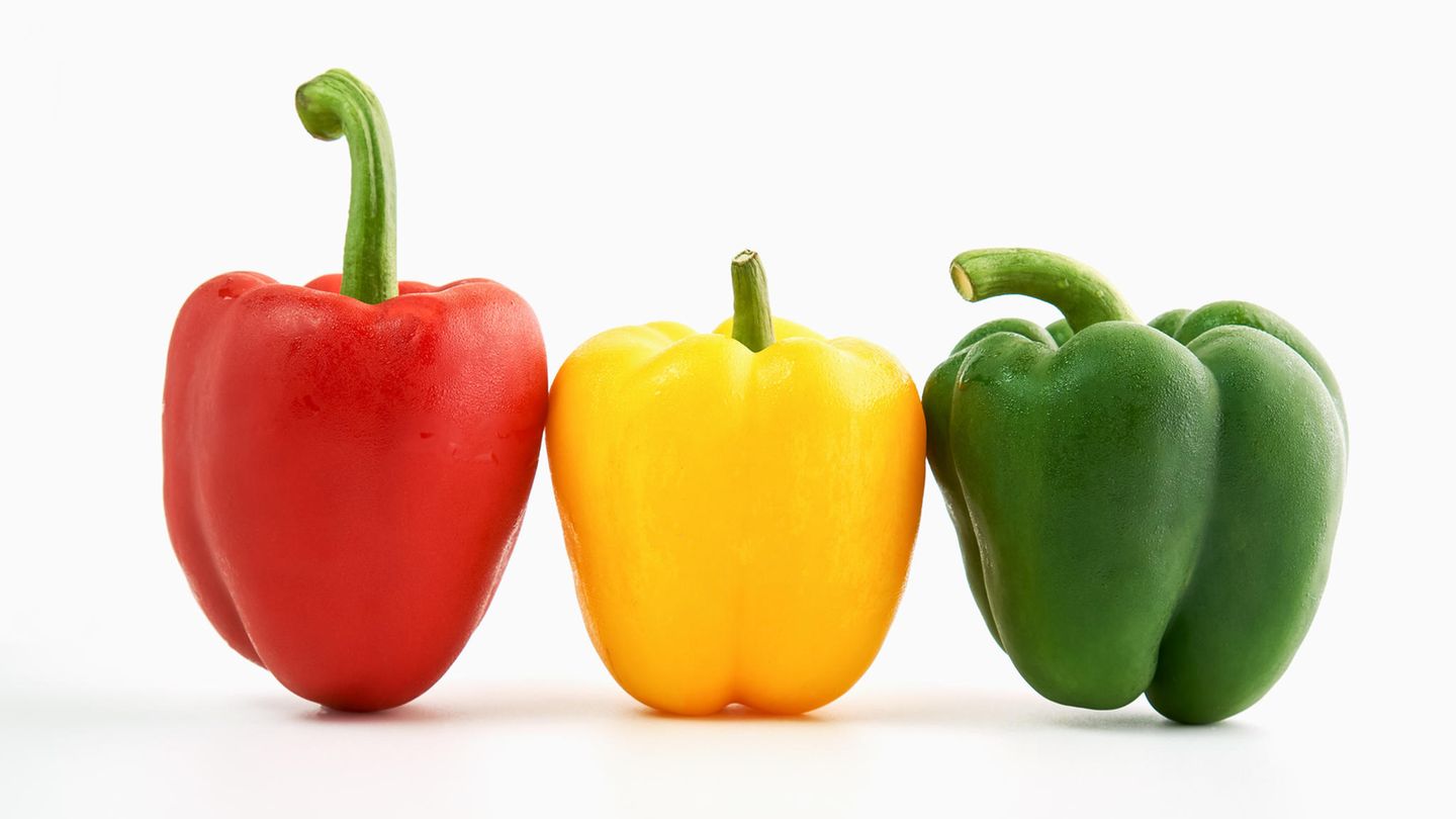 Obst Gemüse für den Kaufmannsladen Paprika rot, gelb, grün OG 18 versch 