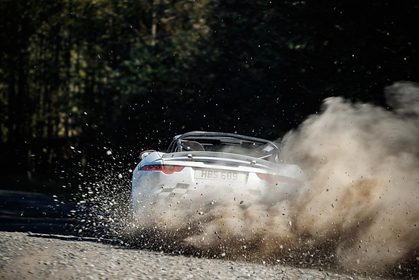 Jaguar F-Type Rallye Car
