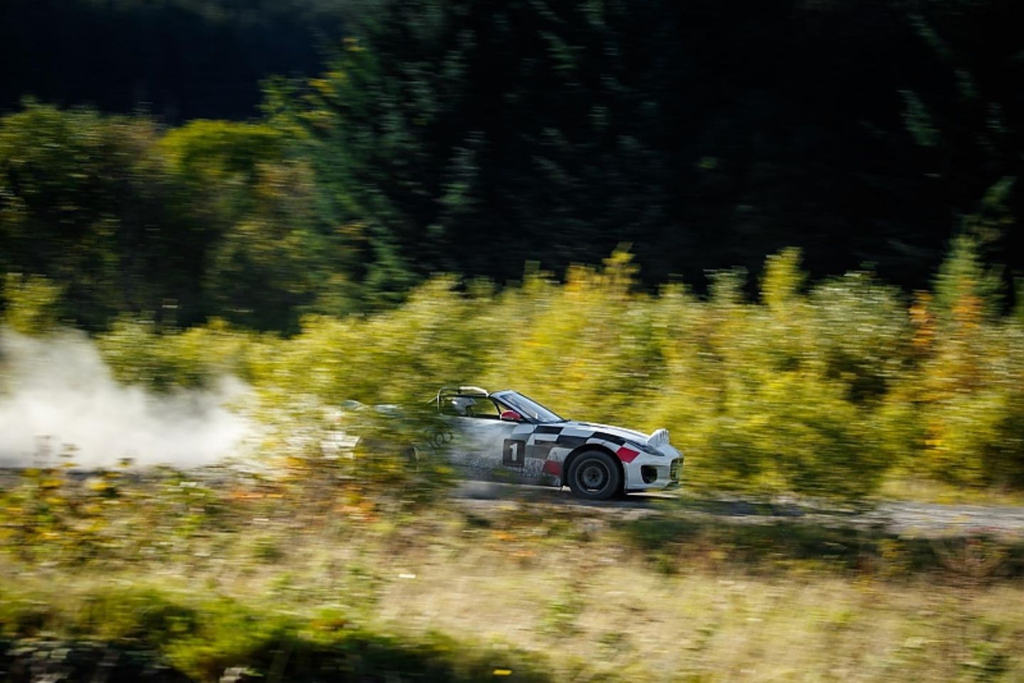 Jaguar F-Type Rallye Car
