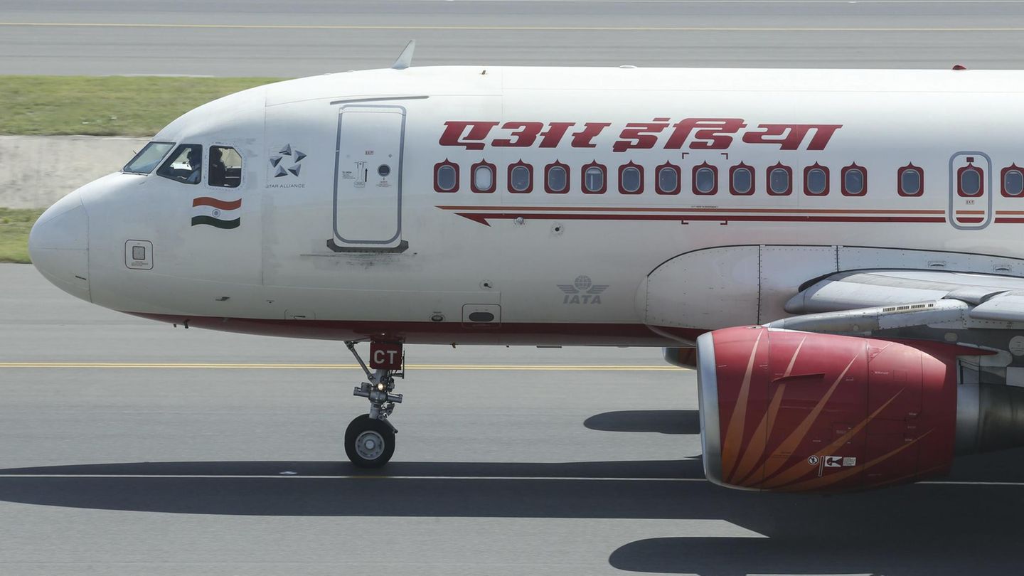 Ein Airbus A319 von Air India: In einem Flugzeug dieser Art ereignete sich der Zwischenfall mit der Kakerlake im Essen.