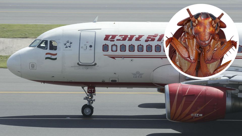 Ein Airbus A319 von Air India: In einem Flugzeug dieser Art ereignete sich der Zwischenfall mit der Kakerlake im Essen.