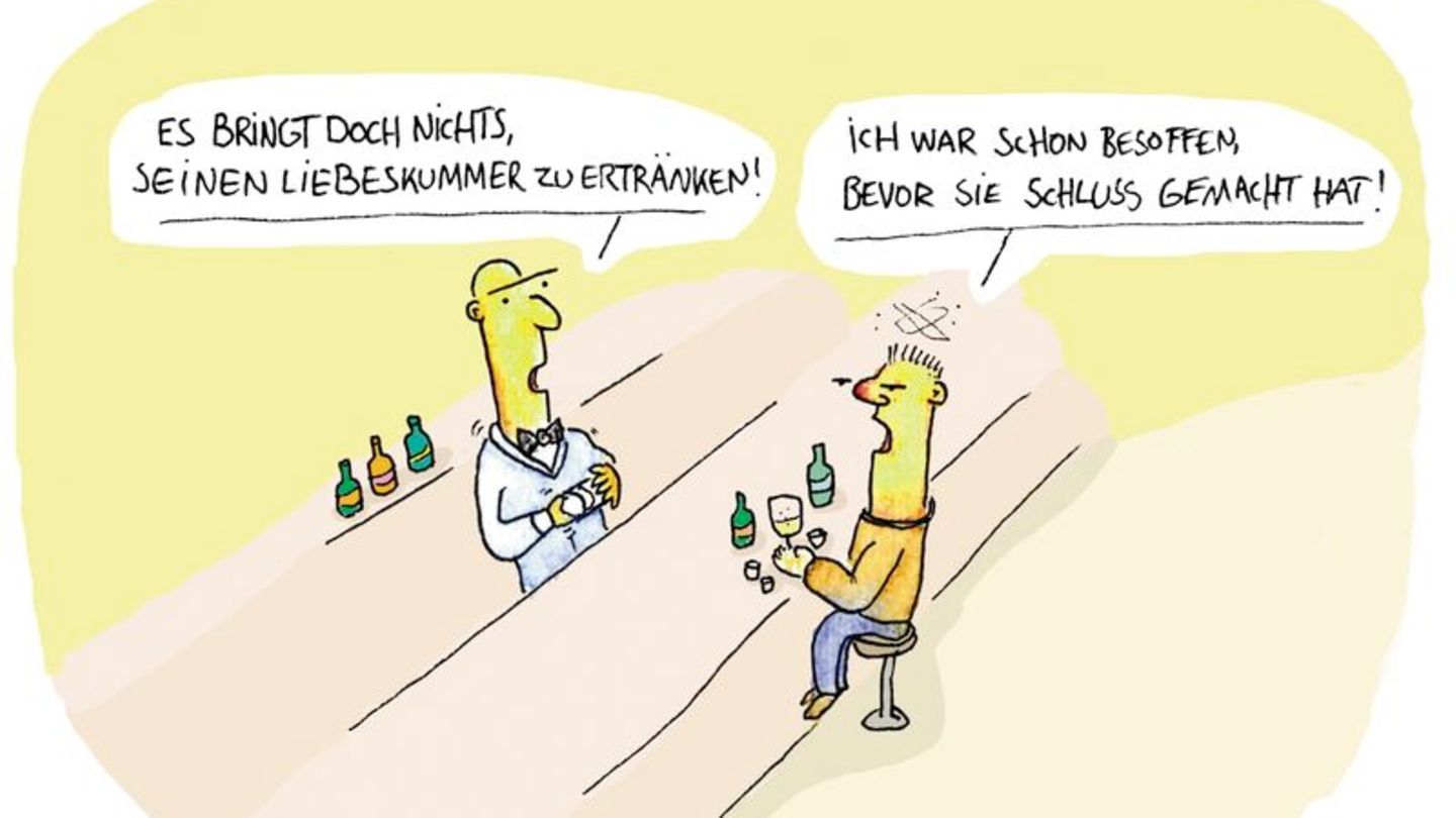 Liebe und Beziehungen: "Bringt doch nichts, seinen Liebeskummer zu ertränken": Cartoons zum Valentinstag
