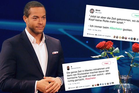 Bachelor