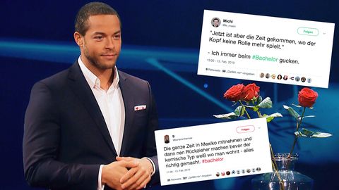 Bachelor