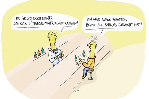Liebe und Beziehungen: "Bringt doch nichts, seinen Liebeskummer zu ertränken": Cartoons zum Valentinstag