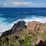 Cape Couedec: Ein hölzerner Steg führt zum Admirals Arch und zur Kolonie Neuseeländischer Seebären