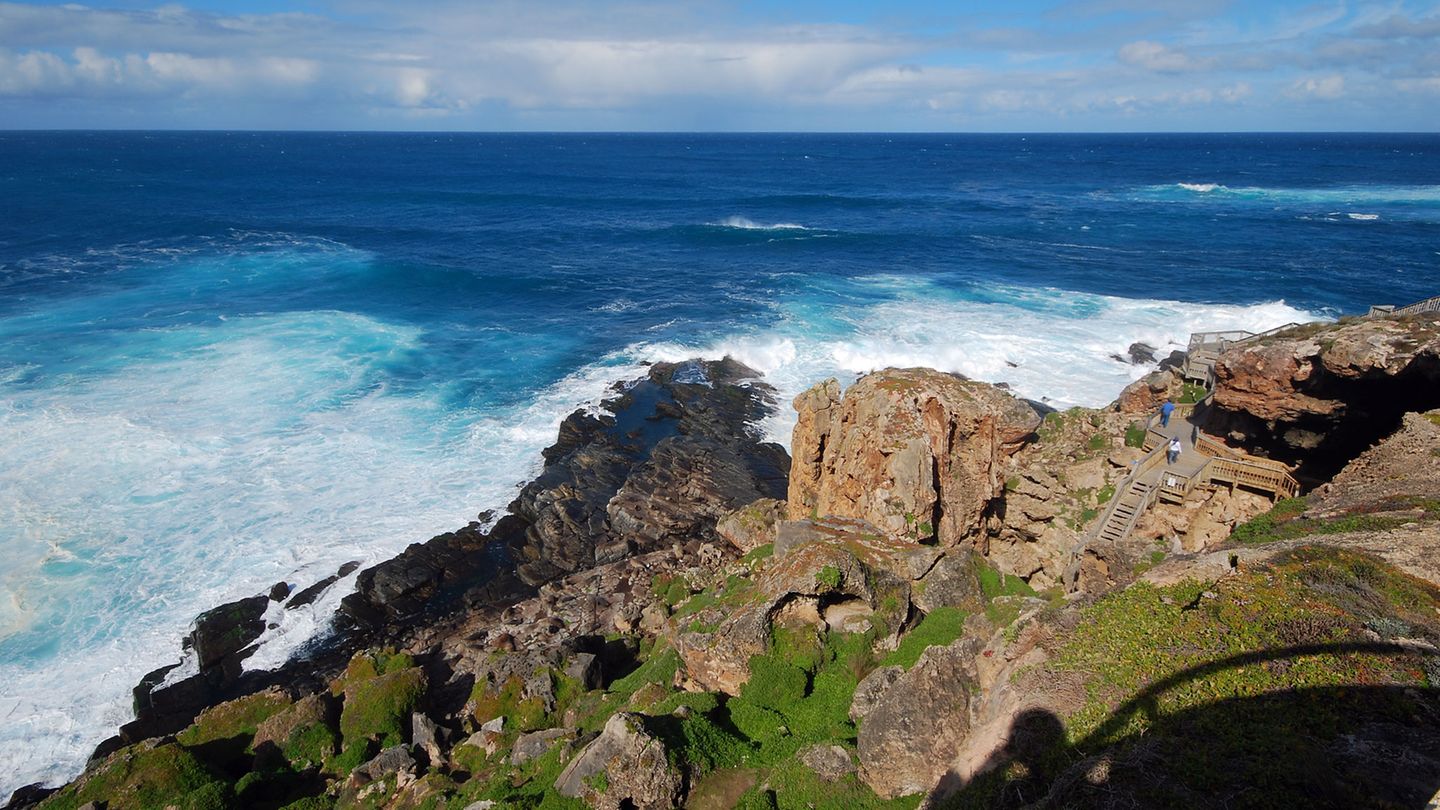 Cape Couedec: Ein hölzerner Steg führt zum Admirals Arch und zur Kolonie Neuseeländischer Seebären