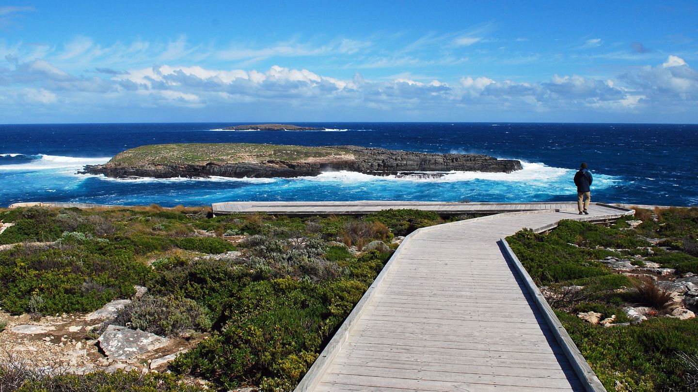 Cape du Couedec im Südwesten von Kangaroo Island: Die 4000 Quadratmeter große Insel gehört zum Bundesstaat South Australia und hat eine 500 Kilometer lange Küstenlinie.