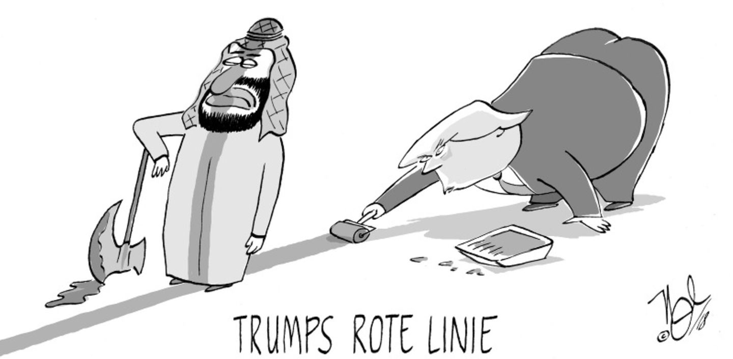 stern-Cartoon : Donald Trump: Die besten Cartoons zum Presidents' Day