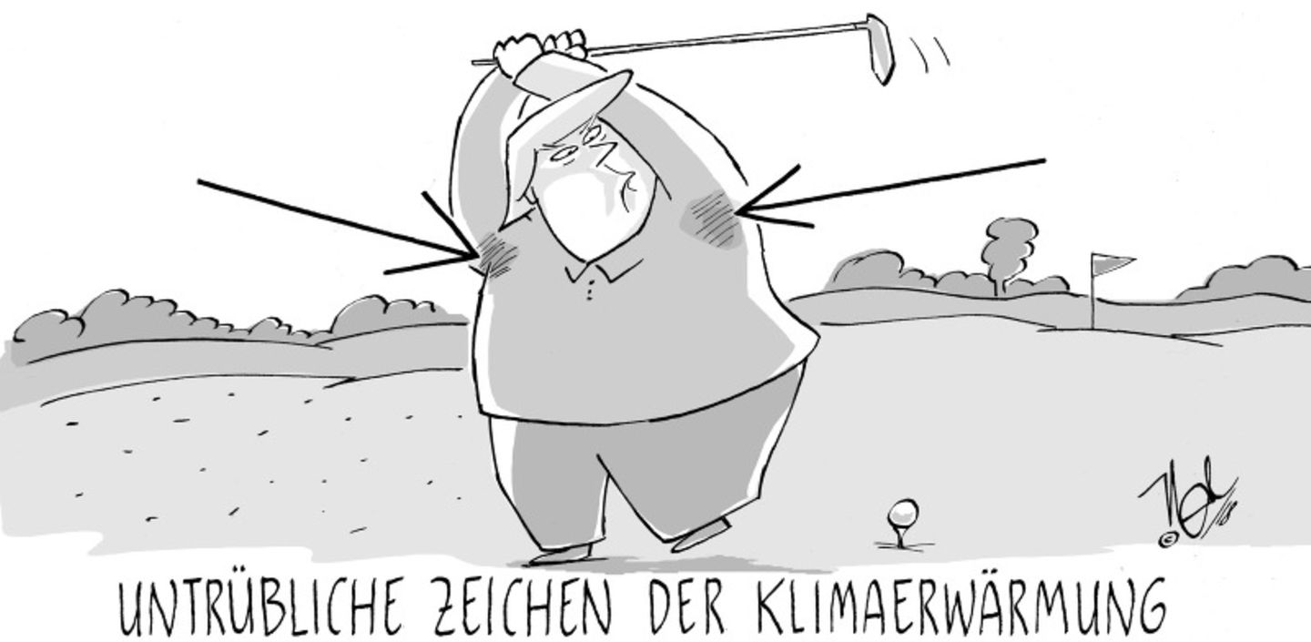 stern-Cartoon : Donald Trump: Die besten Cartoons zum Presidents' Day