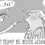 stern-Cartoon : Donald Trump: Die besten Cartoons zum Presidents' Day