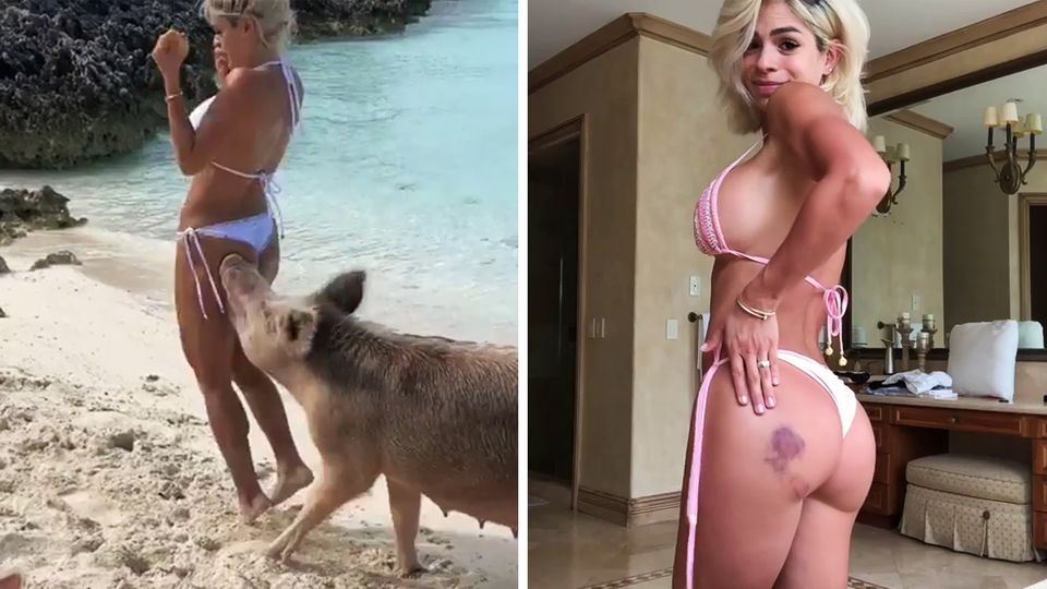 Schwein beißt Model in den Po / Bluterguss am Hintern