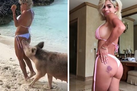 Schwein beißt Model in den Po / Bluterguss am Hintern