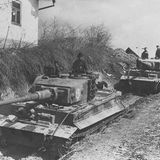 Tiger der 506. Schweren Panzerabteilungen in der Ukraine 1944.