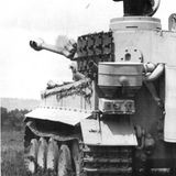 Propagandafoto eines Tigers im Osten.