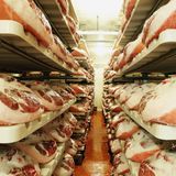 Museo del Prosciutto di Parma  Die Italiener lieben ihren Parmaschinken. Kein Wunder, dass dem Schinken ein ganzes Museum gewidmet wurde. Es befindet sich etwa 25 Kilometer von der Stadt Parma entfernt. Dort kann man erleben wie der feine Schinken verarbeitet und konserviert wird, und ihn auch verkosten.  Adresse: Via Fabio Bocchialini 7, Langhirano  Öffnungszeiten: Samstag und Sonntag 10-18 Uhr