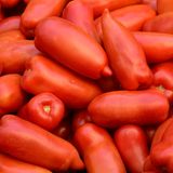 Museo del Pomodoro  In einem alten Klostergebäude unweit von Parma befindet sich das Tomatenmuseum, die Gegend ist bekannt für ihren Tomatenanbau. Seit Mitte des 19. Jahrhunderts werden hier Tomaten angebaut. Wer mehr über die Geschichte der Tomate, das "rote Gold" erfahren möchte, ist hier genau richtig: Es wird die Geschichte der Tomate sowie ihre Verbreitung in der italienischen Esskultur erzählt. Genauso wie die Tomate in der Region Emilia-Romagna verarbeitet wird und vieles mehr.  Adresse: Strada Giarola 11, Collecchio   Öffnungszeiten: Samstag und Sonntag 10-18 Uhr