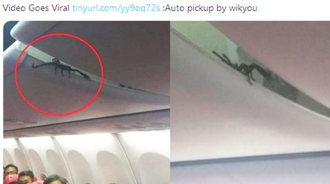 An Bord von Lion Air: Im Flugzeug: Skorpion krabbelt über den Köpfen von Passagieren