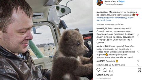 Bär im Cockpit - Mansour wurde schnell größer.
