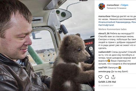 Bär im Cockpit - Mansour wurde schnell größer.