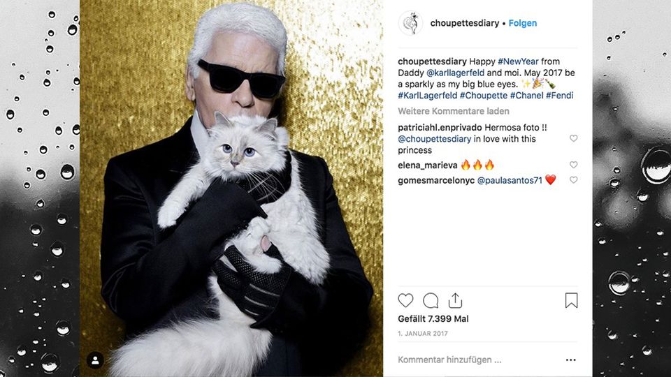 Karl Lagerfeld Seine Besten Spruche Stern De