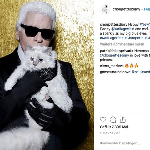 Karl Lagerfeld und Choupette