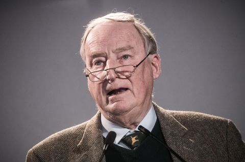 Rückführung deutscher IS-Anhänger - AfD-Parteichef Alexander Gauland äußert sich