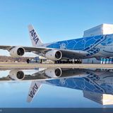 Diese blaue Riesenschildkröte muss erst noch das Fliegen lernen: Der 14. Kunde des größten Passagierflugzeuges der Welt, der Airbus A380, heißt All Nippon Airways - kurz ANA. Die japanische Fluglinie wird das Flugzeug im Frühjahr 2019 erhalten - hier ein Foto vom Rollout im Werk Hamburg-Finkenwerder im Dezember 2018.