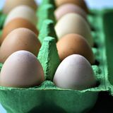 Eier  Für rohe Speisen sollte das MHD unbedingt eingehalten werden, denn mit einer Salmonellen-Infektion ist nicht zu spaßen. Aber: Sind die Eier nur kurz abgelaufen, eigenen sie sich noch zum Backen und kochen. Denn die hohen Temperaturen machen keime unschädlich. Wer Spiegeleier kocht, sollte sie auf beiden Seiten braten.