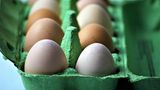 Eier  Für rohe Speisen sollte das MHD unbedingt eingehalten werden, denn mit einer Salmonellen-Infektion ist nicht zu spaßen. Aber: Sind die Eier nur kurz abgelaufen, eigenen sie sich noch zum Backen und kochen. Denn die hohen Temperaturen machen keime unschädlich. Wer Spiegeleier kocht, sollte sie auf beiden Seiten braten.