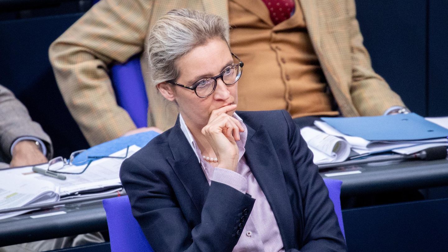 Alice Weidel im Bundestag