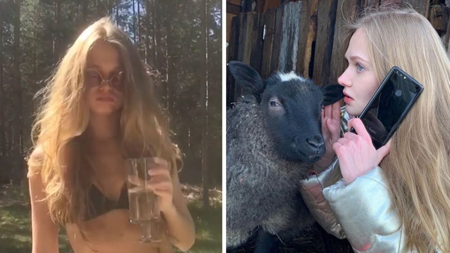 Drinks im Wald und Smalltalk mit Schafen - Polinas Landleben fasziniert das Netz