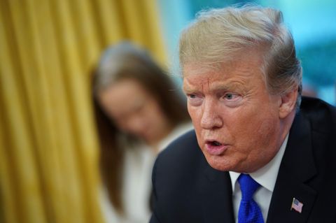 Mexiko schickt nicht "seine besten Leute" in die USA? Die Oscars beweisen Donald Trump das Gegenteil