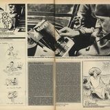 Original-Artikel aus stern 22/1983: Das Gelächter über den Reinfall