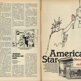 Dokumentation: Der Original-Artikel im stern 22/1983