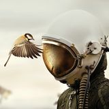 Tschechische Republik, 1. Platz, National Awards:  Der tschechische Fotograf Martin Stranka widmete sich dem Thema "Träumer und Krieger". "Wir sollten niemals aufhören, unseren Träumen zu folgen, für unsere Ideale zu kämpfen und unsere Visionen zu schützen, die in dieser Serie alle von Tieren symbolisiert werden", erklärt er. 