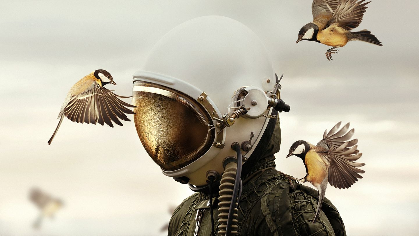 Tschechische Republik, 1. Platz, National Awards:  Der tschechische Fotograf Martin Stranka widmete sich dem Thema "Träumer und Krieger". "Wir sollten niemals aufhören, unseren Träumen zu folgen, für unsere Ideale zu kämpfen und unsere Visionen zu schützen, die in dieser Serie alle von Tieren symbolisiert werden", erklärt er. 